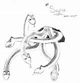 Scylla sketch template