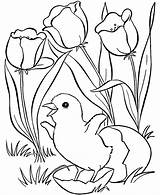 Coloring Spring Pages Tulips Kids Egg sketch template