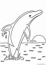 Dolphin Coloring Pages Coloring4free Sunset Cute Kids Jumping Adults sketch template