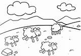 Sheeps Coloring Cartoon Cute Pages Sheep sketch template