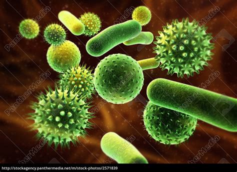 bakterien lizenzfreies bild  bildagentur panthermedia