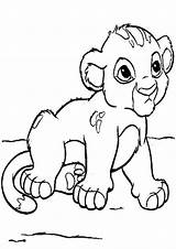 Lion Cub Coloring Baby Clipart Kids Pages Cute Printable Drawing Clip Print Getdrawings Drawings Cliparts Clipground 91kb sketch template