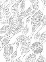 Algae Coloring Pages Getcolorings Adult sketch template