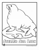 Endangered Coloring Pages Sea Animal Ocean Lion Animals Species Animaljr Kids Gif Worksheets Printer Send Button Special Print Only Use sketch template