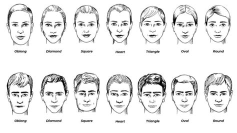 easily determine  face shape visual guide bald beards