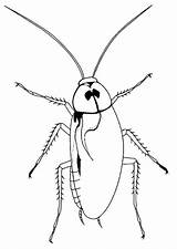 Cockroach Coloring Pages Printable Color Kids Print Cockroaches Animal Animals Sheet Bestcoloringpagesforkids Large sketch template