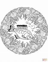 Coloring Mandala Fish Pages Mandalas Printable Animal Drawing Dot Supercoloring Categories sketch template