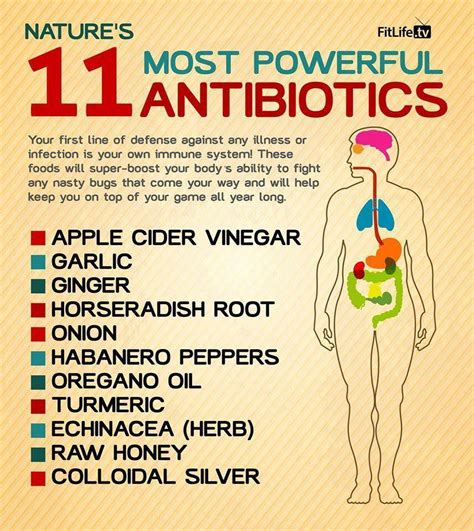 powerful antibiotics  organic health
