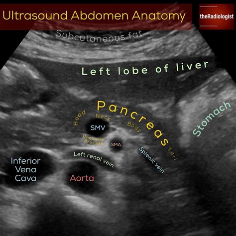 ultrasound   read