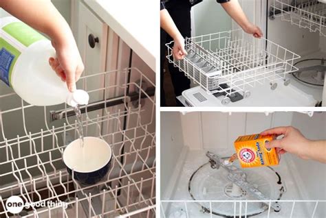 learn   clean  dishwasher  process eliminate problems