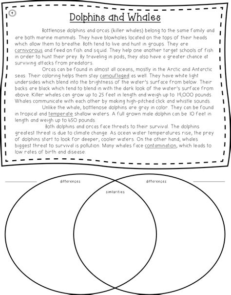 compare  contrast paragraph examples  elementary compare