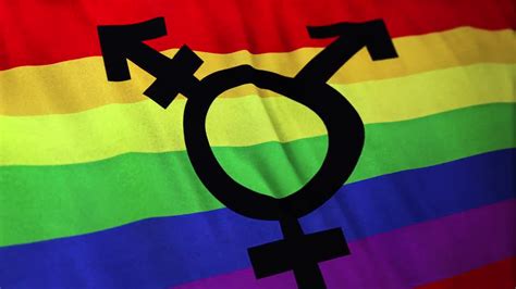 Transgender Bisexual Gay Pride Flag Loop Stock Motion Graphics