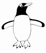 Penguin Drawing Outline Step Cartoon Emperor Book Penguins Pages Printable Getdrawings Two Birds Creation Create Print Samanthasbell Pet Perfect sketch template