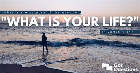 purpose   question    life  james