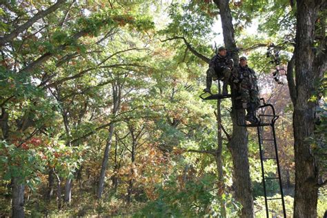 Big Game Treestands 6 Summer Projects That Bring Deer