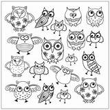 Gufi Owls Adulti sketch template