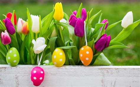 beautiful easter eggs tulips picture wallpaperscom