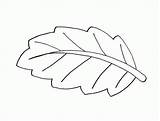 Coloring Pages Leaves Leaf Print Leave Comments Tree sketch template