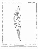 Coloring Leaf Designlooter Insertion sketch template