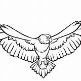 Eagle Lineart sketch template