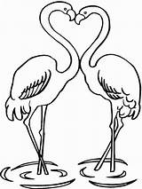 Coloring Pages Flamingo Flamingos Printable Birds Print sketch template
