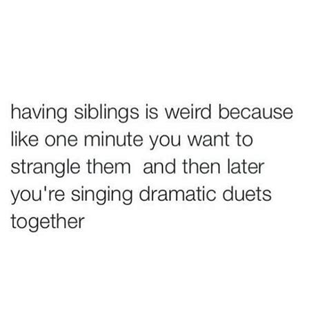 Siblings Funny Quotes Sibling Quotes Sibling Memes Older Sister