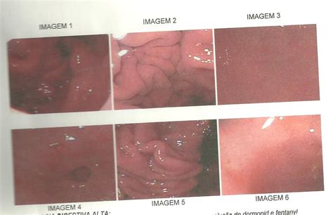 paulamar abril 2012