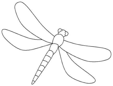 coloring pages dragonfly animals printable coloring pages