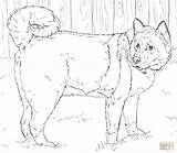 Akita Coloring American Pages Shiba Dog Husky Printable Dogs Drawings Click Designlooter Color Miniature Drawing Kids Print Adults 1400 07kb sketch template