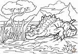 Sarcosuchus Ausmalbild sketch template