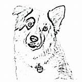 Collie Coloring Pages Border Dog Borders Color Getcolorings Getdrawings Printable Colorings sketch template