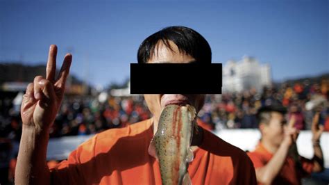 petition stop mass fish killing festival  hwacheon changeorg