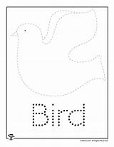 Bird Tracing Spring Worksheet Word Preschool Worksheets Letter Activities Easy Kids Activity Trace Crafts Shapes Recognition Shape Practice Woojr sketch template