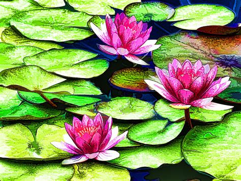 Pink Lotus Flower 1 Painting By Jeelan Clark Fine Art America