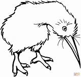 Bird Kiwi Coloring Clipart Drawing Outline Clip Pages Cliparts Kiwis Clipartbest Printable Line Color Supercoloring Zealand Gif Edhelper Library Categories sketch template