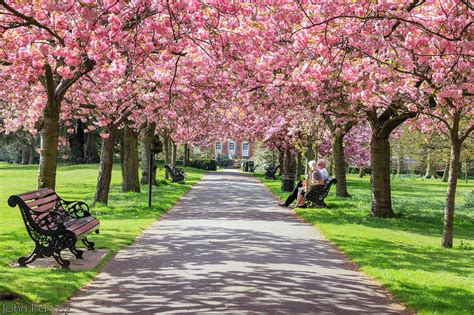 londons  parks  glorious green spaces time  london