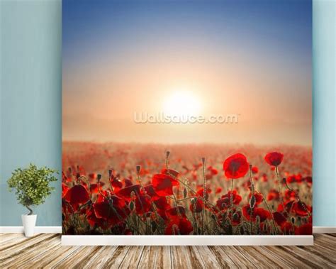 red poppy fields wallpaper wall mural wallsauce