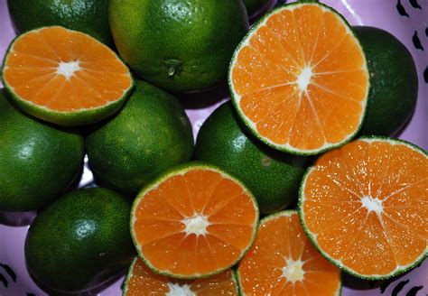 green oranges wwwjonathaninchinacomp jonathan flickr
