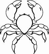 Crab Coloring Pages Kids Printable Sheet Marine Animals Animalplace sketch template