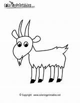 Goat Coloring Pages Printable Animal Sheets Cute Nativity Colouring Worksheets Animals Drawing Coloringprintables Popular Kids Switzerland Choose Board Coloringhome sketch template