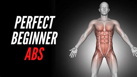perfect beginner abs workout   workout core correctly
