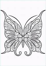 Farfalle Disegnare sketch template