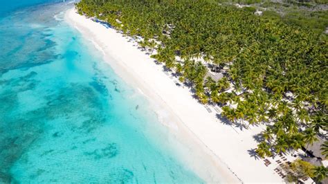 Best Of Saona Island Dominican Republic Best Things To