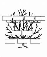 Blank Tree Family Sample Pdf Templates Word sketch template