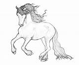 Friesian Horse Drawing Getdrawings Lineart sketch template