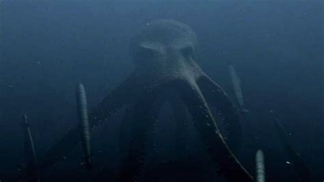 Mega Shark Vs Giant Octopus 28 Worst Movies Ever Made