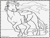 Mewarnai Kuda Kebun Pemandangan Binatang sketch template