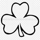 Shamrock Printable Clover Leaf Clipart Three Coloring Sheet Clip sketch template