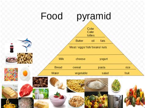kahukura  tamaki primary school wal  food pyramid