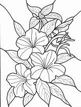 Coloring Pages Plants Jungle Advanced Flower Rainforest Printable Getcolorings Getdrawings Color sketch template